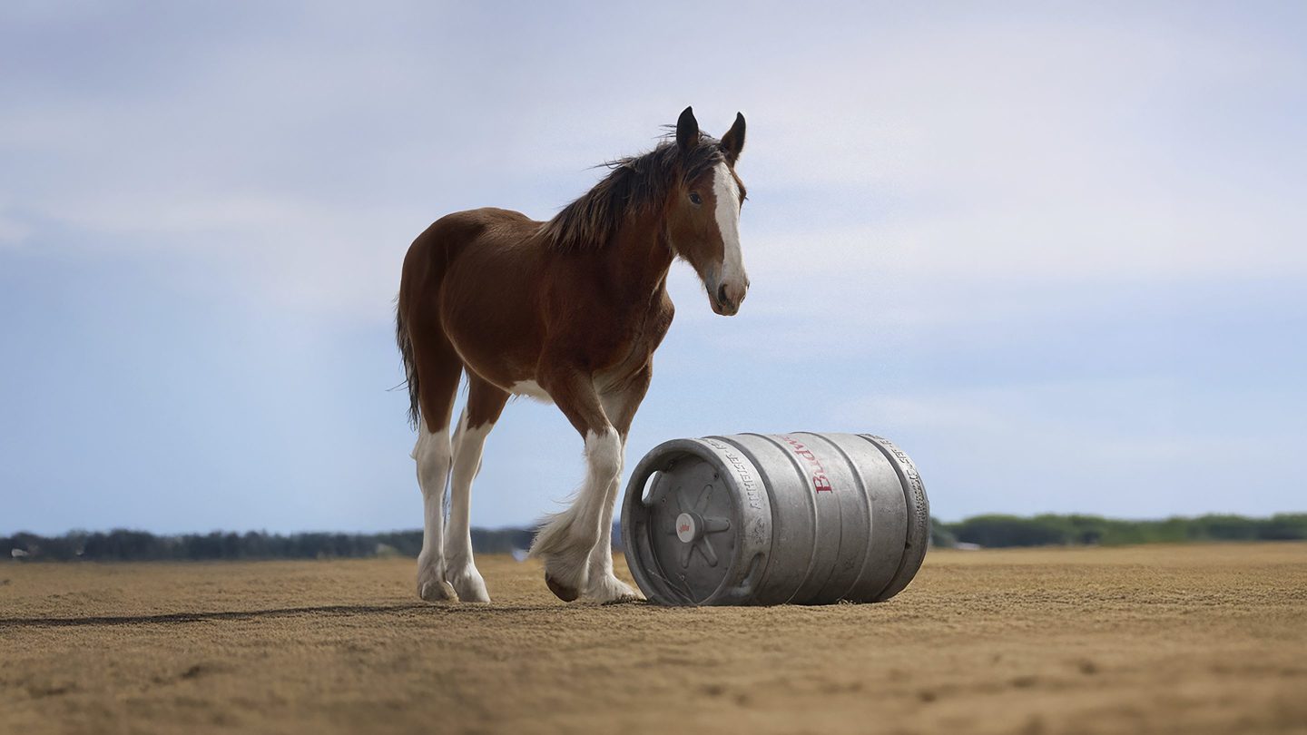 Super Bowl commercials aim for easy laughs and nostalgia to avoid potential political missteps