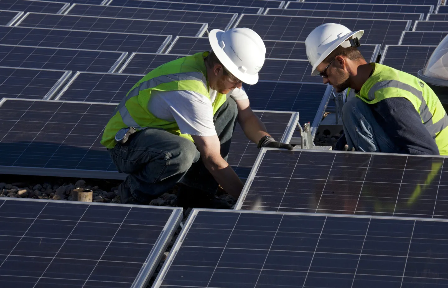 Clean business: Why 97% of executives are betting big on renewables